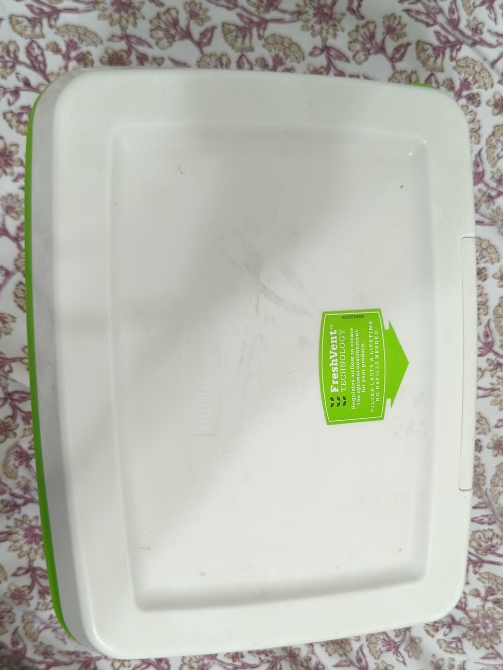 Plastic Food Storage Container with FreshVent Lid - White & Lime Green